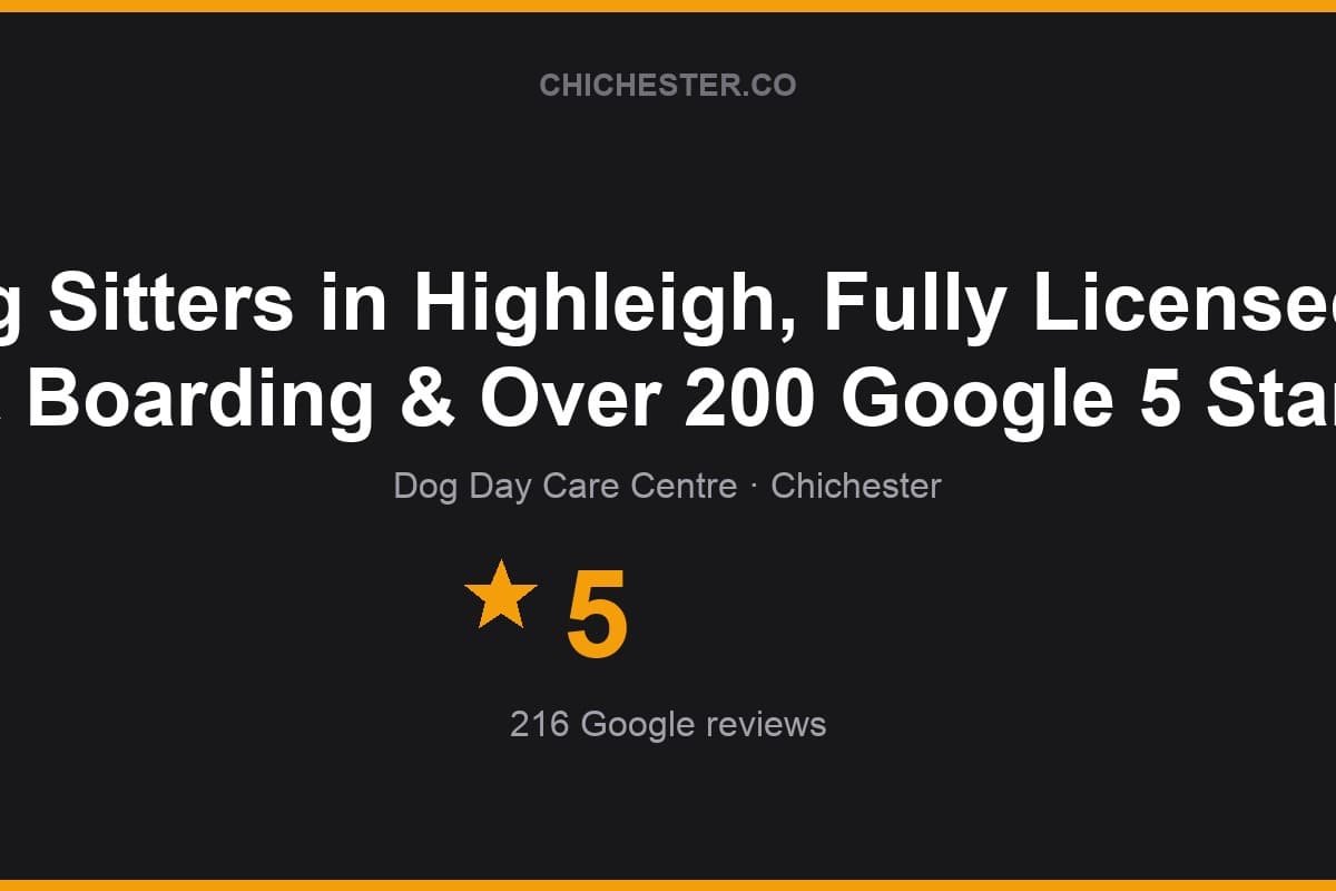 Branded Chichester Directory rating card for Chichester Dog Sitters in Highleigh, Fully Licensed, Kennel Free, Daycare & Boarding & Over 200 Google 5 Star Reviews.: 5 stars, 216 Google reviews