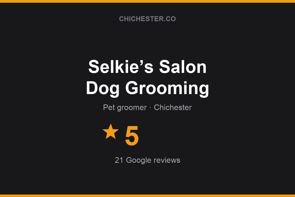 Branded Chichester Directory rating card for Selkie’s Salon Dog Grooming: 5 stars, 21 Google reviews