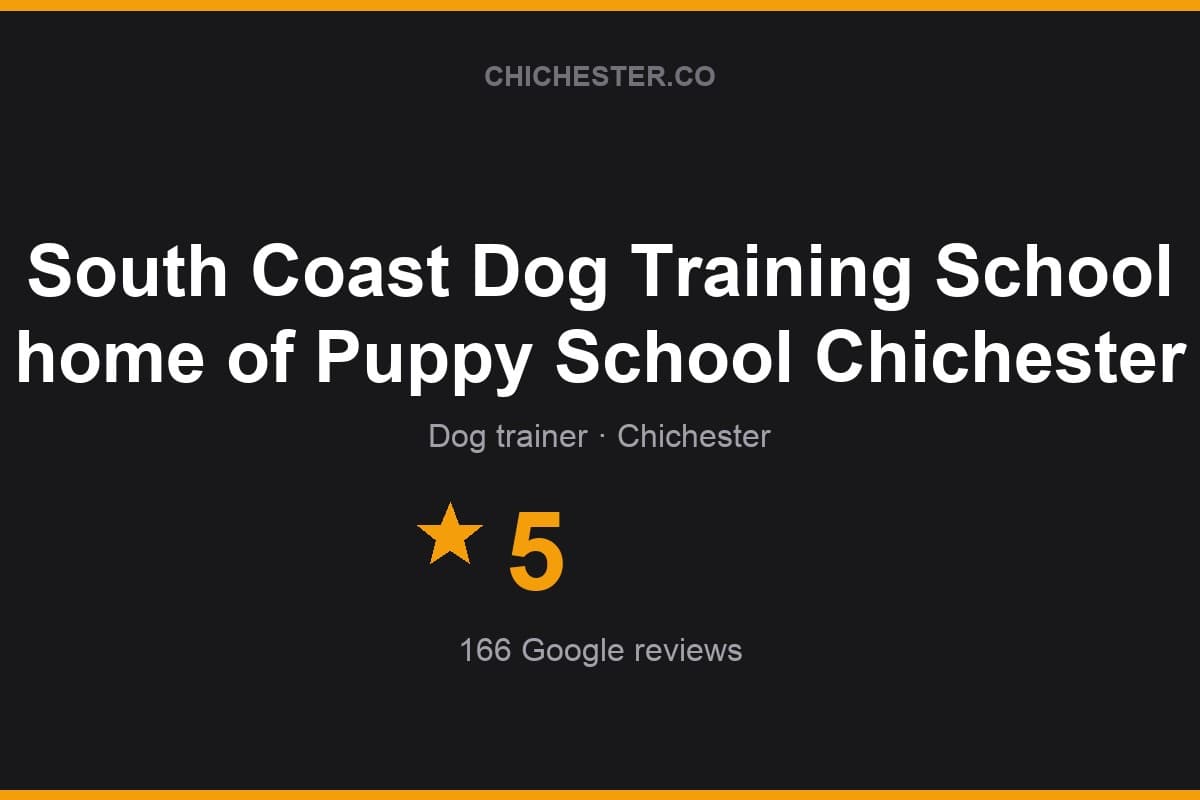 Branded Chichester Directory rating card for South Coast Dog Training School home of Puppy School Chichester: 5 stars, 166 Google reviews