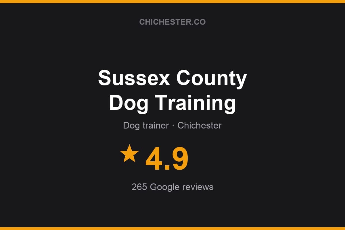Branded Chichester Directory rating card for Sussex County Dog Training: 4.9 stars, 265 Google reviews