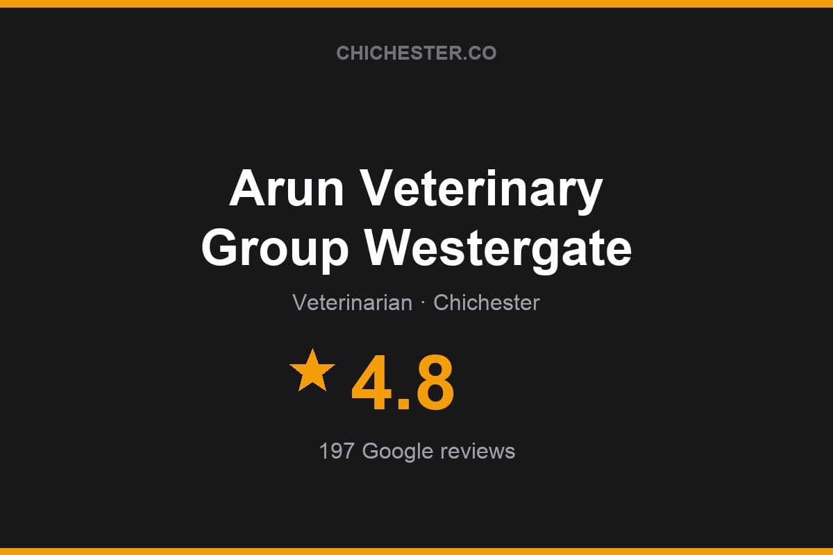Branded Chichester Directory rating card for Arun Veterinary Group Westergate: 4.8 stars, 197 Google reviews