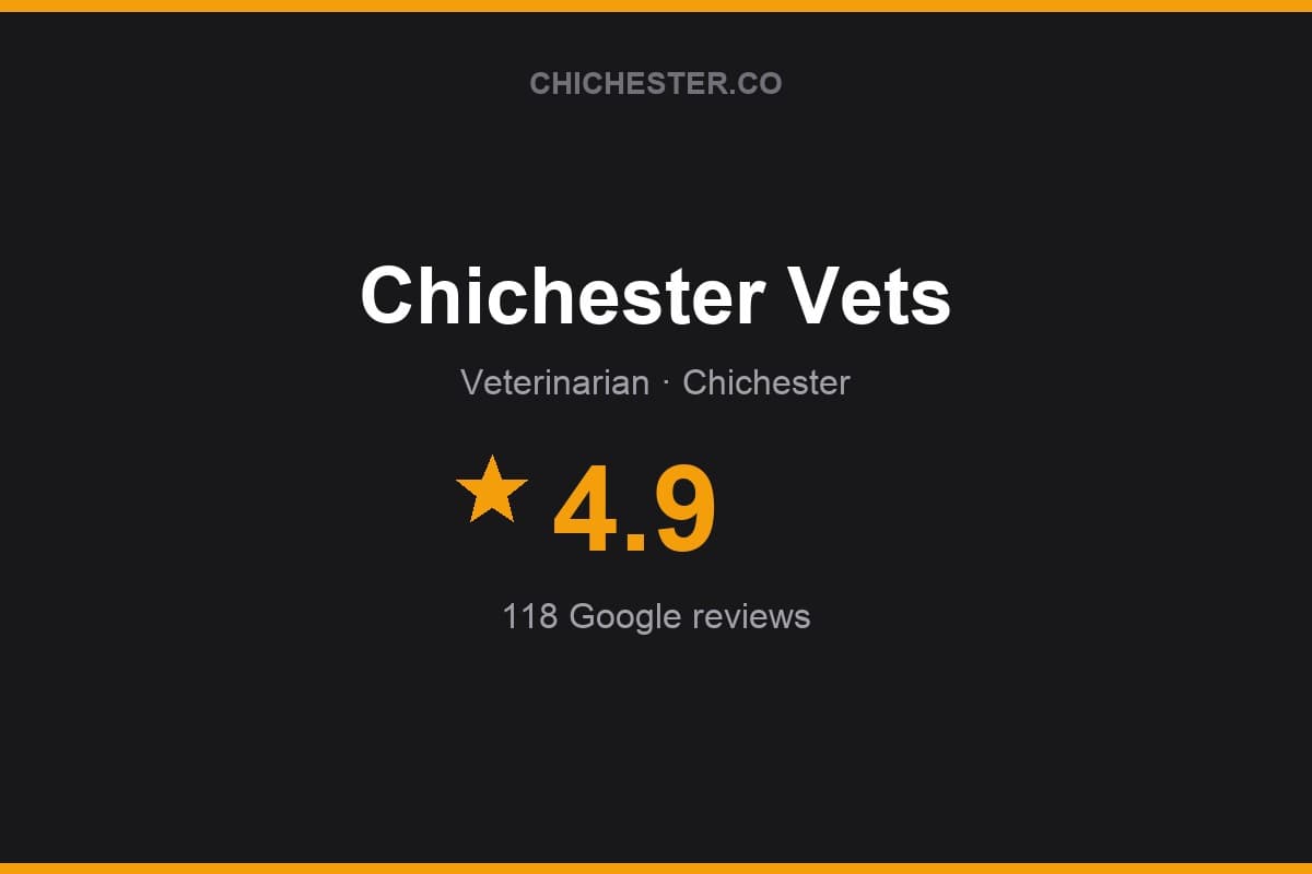 Branded Chichester Directory rating card for Chichester Vets: 4.9 stars, 118 Google reviews