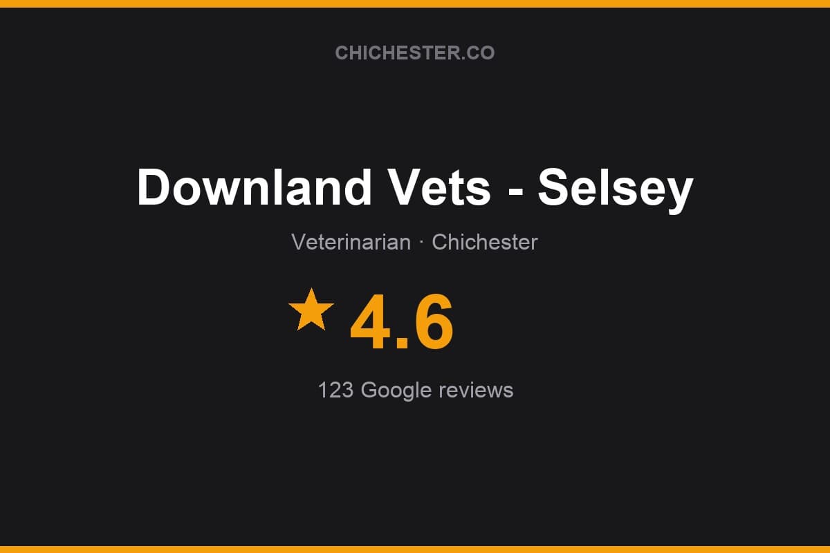 Branded Chichester Directory rating card for Downland Vets - Selsey: 4.6 stars, 123 Google reviews