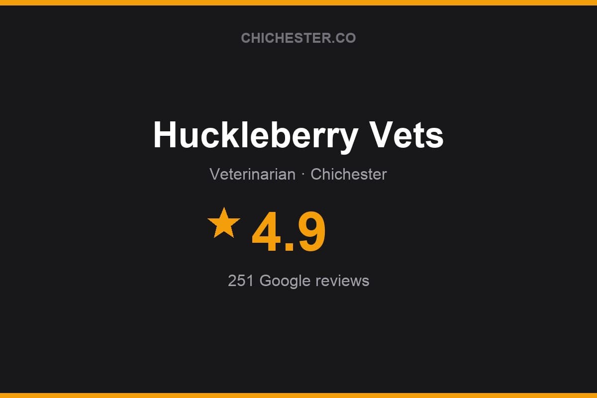Branded Chichester Directory rating card for Huckleberry Vets: 4.9 stars, 251 Google reviews