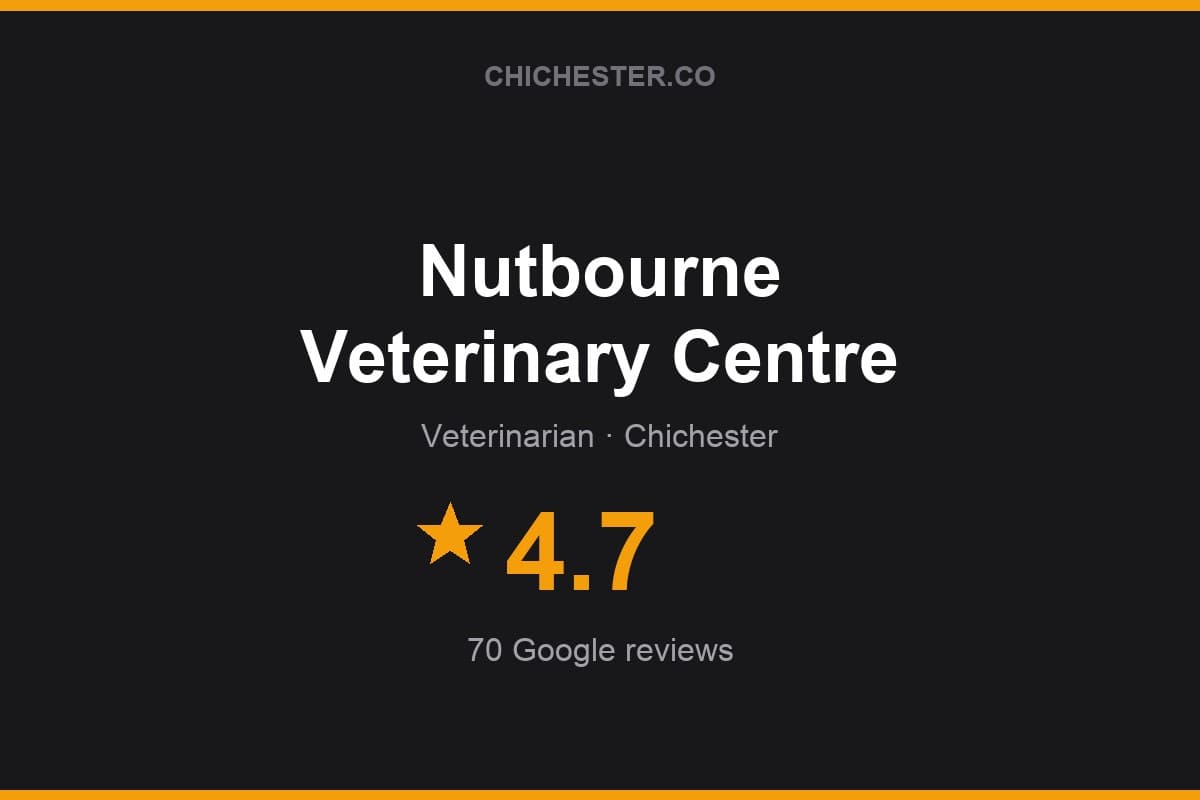 Branded Chichester Directory rating card for Nutbourne Veterinary Centre: 4.7 stars, 70 Google reviews