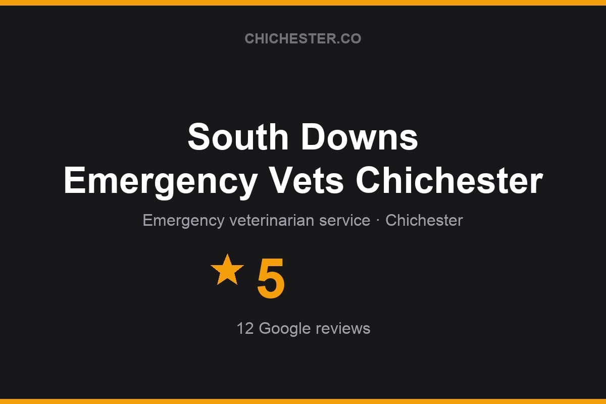 Branded Chichester Directory rating card for South Downs Emergency Vets Chichester: 5 stars, 12 Google reviews