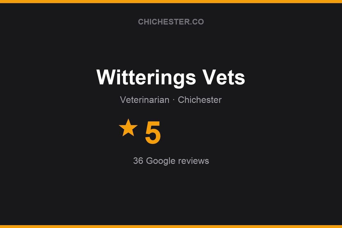 Branded Chichester Directory rating card for Witterings Vets: 5 stars, 36 Google reviews